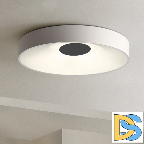 Потолочный светильник ImperiumLoft Ecla 101547-26