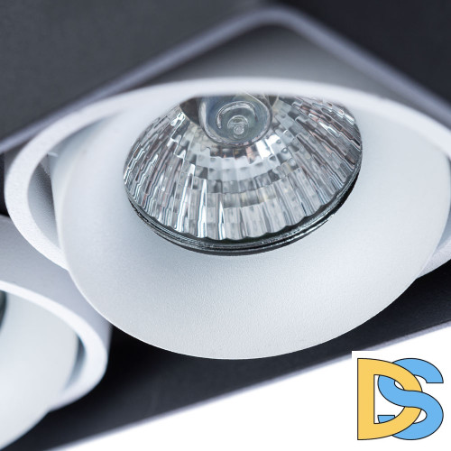 Потолочный светильник Arte Lamp Pictor A5654PL-2BK