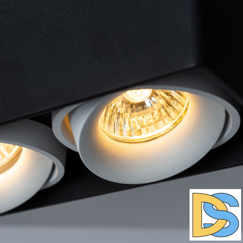 Потолочный светильник Arte Lamp Pictor A5654PL-2BK