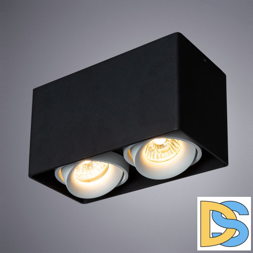 Потолочный светильник Arte Lamp Pictor A5654PL-2BK