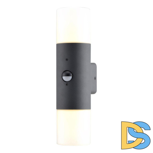 Уличный настенный светильник Escada 534/2A