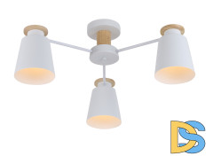 Потолочная люстра Rivoli Adna 9112-303 Б0053435