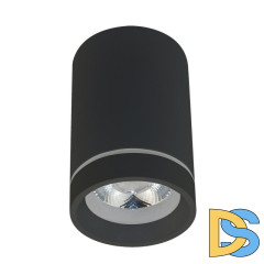 Потолочный светильник Aployt Edda APL.0054.19.10