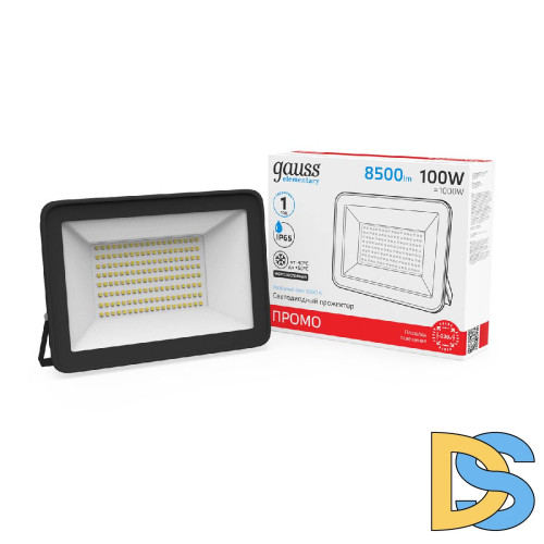 Прожектор светодиодный Gauss Elementary Промо 100W 6500К 613100100P