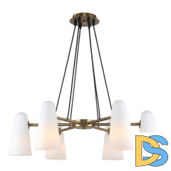 Подвесная люстра Favourite Vision 2763-6P