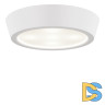 Потолочный светильник Lightstar Urbano Mini LED 214704