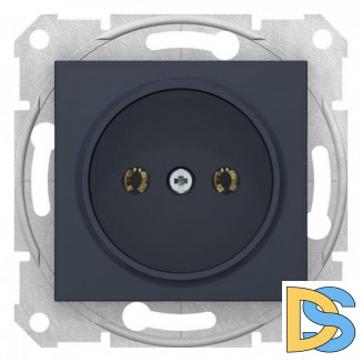 Розетка 1-ая электрическая без заземления, Графит, серия Sedna, Schneider Electric