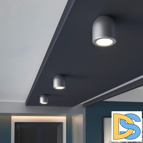 Потолочный светильник Elektrostandard Ogma DLN116 GU10 серебро 4690389153341