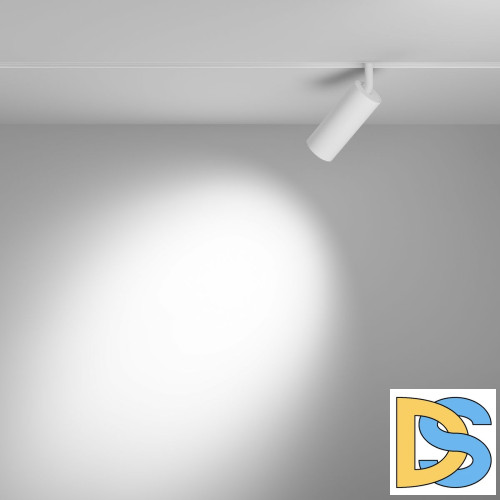 Трековый магнитный светильник Maytoni Focus LED TR032-4-12WTW-S-DD-W