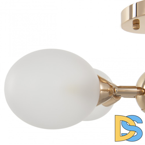 Люстра на штанге Arte Milano Napoli 332420/5 FGD