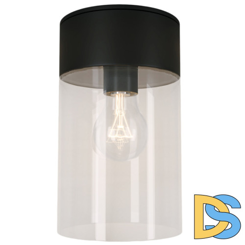 Уличный потолочный светильник Elektrostandard Atrani 35085/F черный 4690389193682 a062521