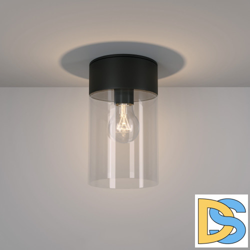 Уличный потолочный светильник Elektrostandard Atrani 35085/F черный 4690389193682 a062521