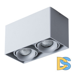 Потолочный светильник Arte Lamp Pictor A5654PL-2GY