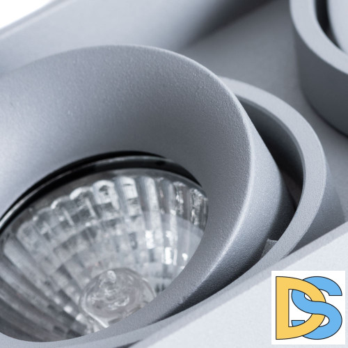 Потолочный светильник Arte Lamp Pictor A5654PL-2GY