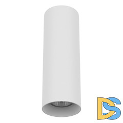 Потолочный светильник Lightstar Rullo 216496