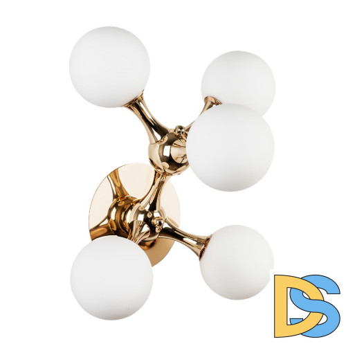 Бра Modestyle MS.6116.05 GD