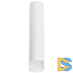 Накладной светильник Lightstar Rullo R49631 (214496+202431)