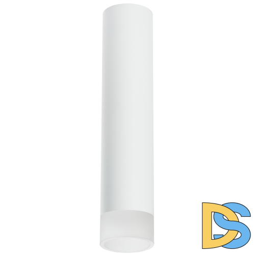 Накладной светильник Lightstar Rullo R49631 (214496+202431)