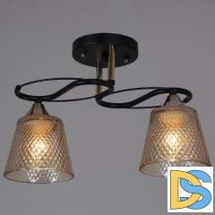 Потолочный светильник Reluce 06087-0.3-02 BK+FG