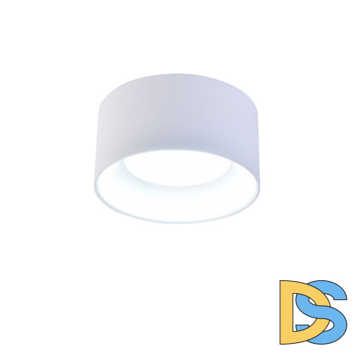 Накладной светильник Favourite Rout 4211-1C