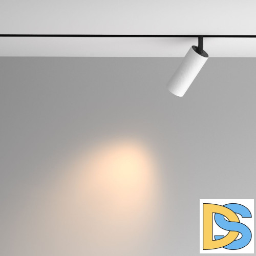 Трековый магнитный светильник Maytoni Artisan TR097-2-12W3K-M-BW