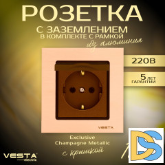 Розетка одинарная с заземлением с крышкой в рамке из алюминия Vesta-Electric Exclusive Champagne Metallic