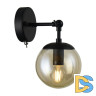 Спот Arte Lamp A1664AP-1BK
