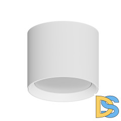 Накладной светильники Arte Lamp Intercrus A5548PL-1WH