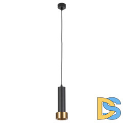 Подвесной светильник Arte Lamp Ran A3147SP-1BK