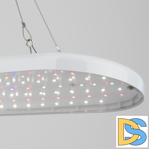 Подвесной светильник для растений Эра FITO-25W-QLED-FLY Б0053062