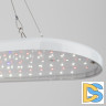 Подвесной светильник для растений Эра FITO-25W-QLED-FLY Б0053062