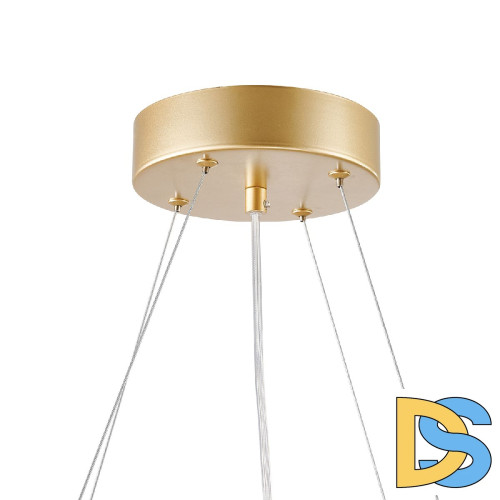 Подвесная люстра Favourite Asterismo 4448-6P