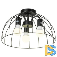 Накладной светильник Lussole LGO Lattice LSP-8215