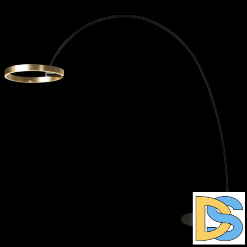 Торшер Loft IT RING 10027