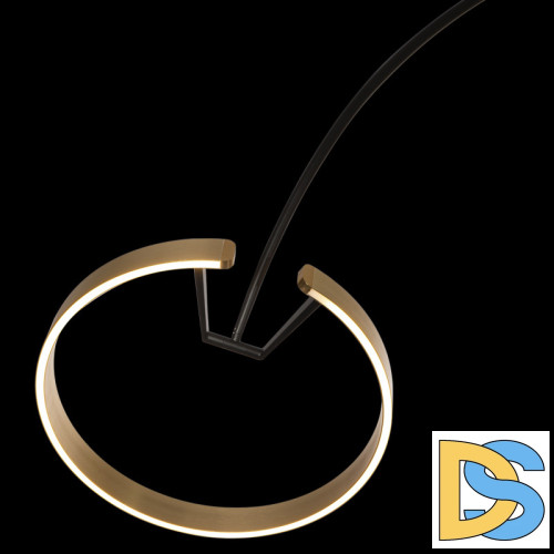 Торшер Loft IT RING 10027