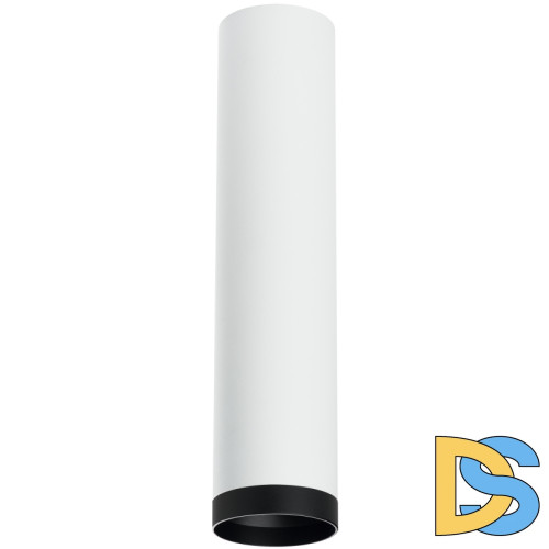 Накладной светильник Lightstar Rullo R4963437 (214496+203437)