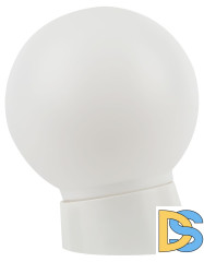 Настенно-потолочный светильник Эра НБП 01-60-004 Б0052011