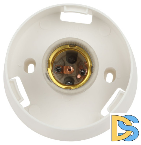 Настенно-потолочный светильник Эра НБП 01-60-004 Б0052011