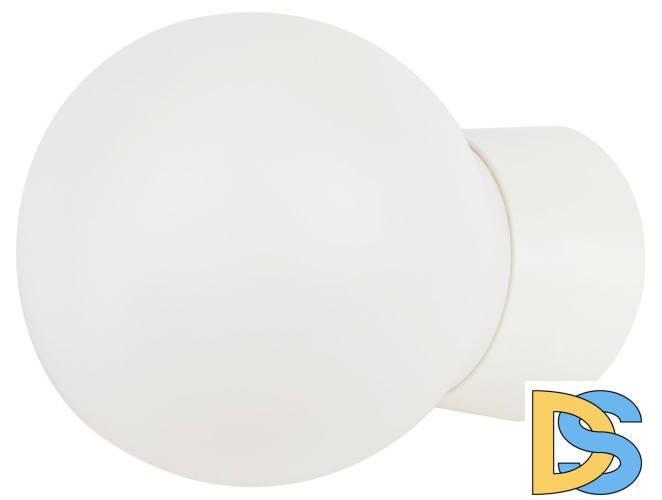 Настенно-потолочный светильник Эра НБП 01-60-004 Б0052011