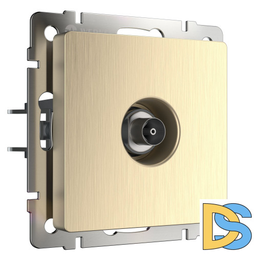 ТВ-розетка оконечная Werkel (шампань рифленый) W1183010