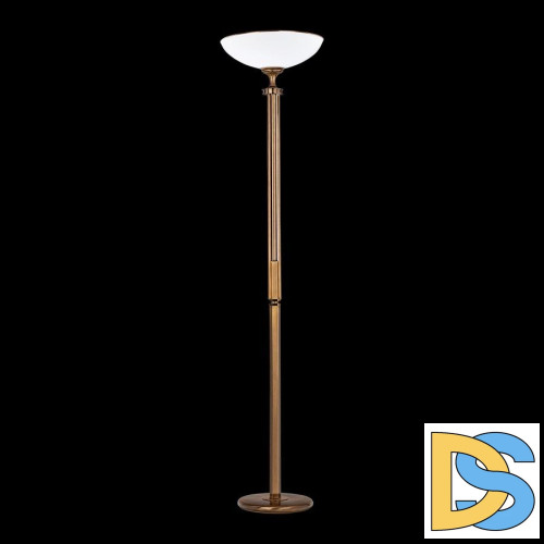 Лицевая панель Legrand Celiane розетки акустической графит 067813