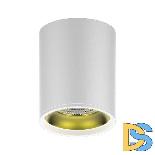 Потолочный светодиодный светильник Gauss Overhead HD010