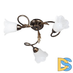 Потолочная люстра Vitaluce V1445/3PL