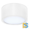 Потолочный светодиодный светильник Lightstar Zolla 213916