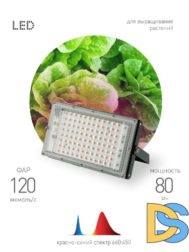 Фитопрожектор для растений Эра FITO-80W-RB-LED-Y Б0053082