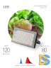 Фитопрожектор для растений Эра FITO-80W-RB-LED-Y Б0053082