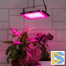 Фитопрожектор для растений Эра FITO-80W-RB-LED-Y Б0053082