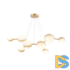 Подвесная люстра Favourite Asterismo 4448-8P