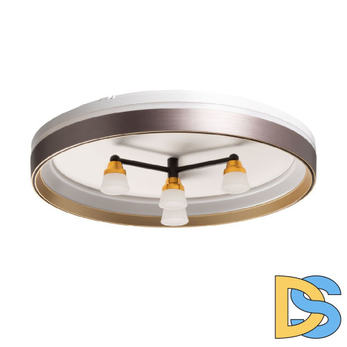 Потолочный светильник De Markt Норден 660014701