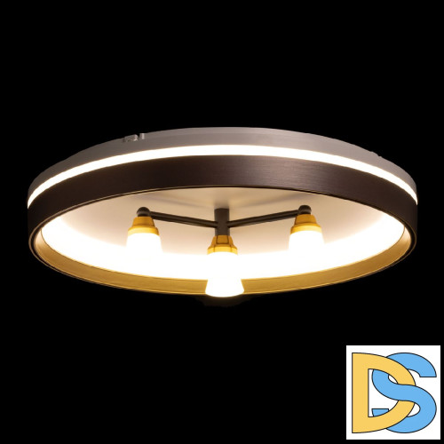 Потолочный светильник De Markt Норден 660014701